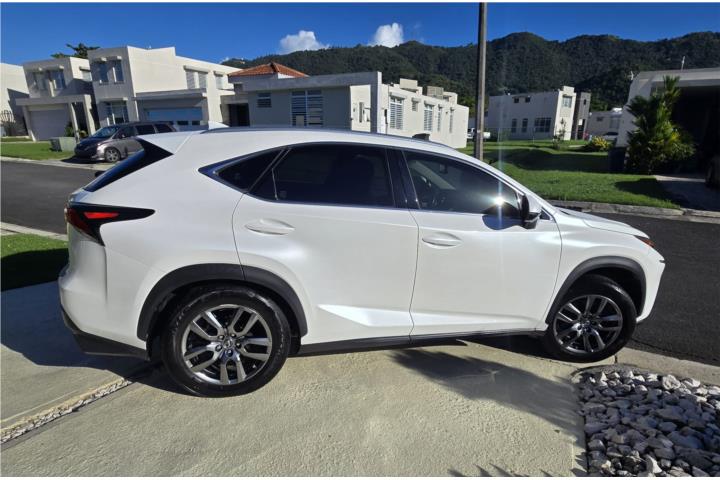 2019 Lexus NX