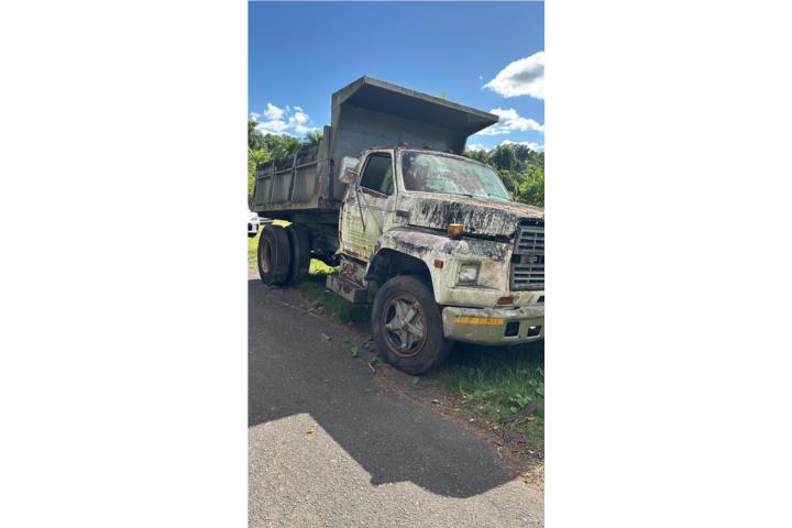 Truck Ford F600 Tumba