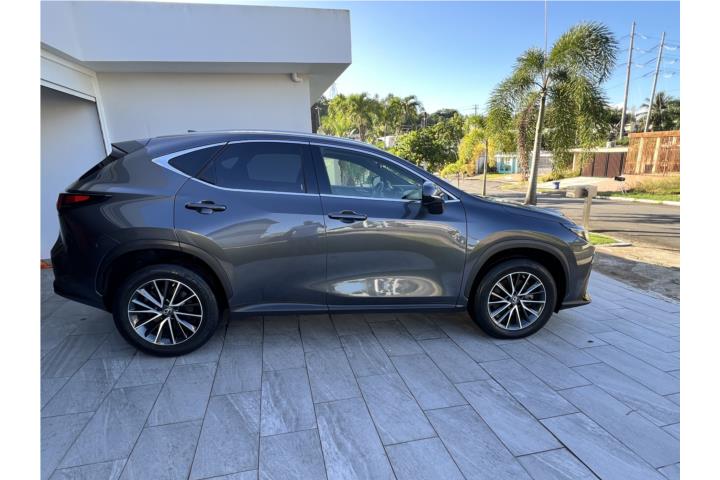 Lexus NX250 2022