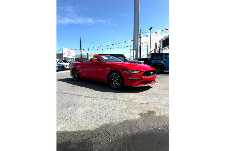Mustang Turbo 2022