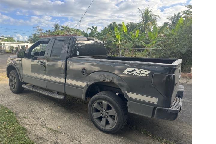 Pick up truck Ford F-150 FX4