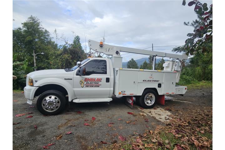 Ford f-450 2006 canasto 35 pies