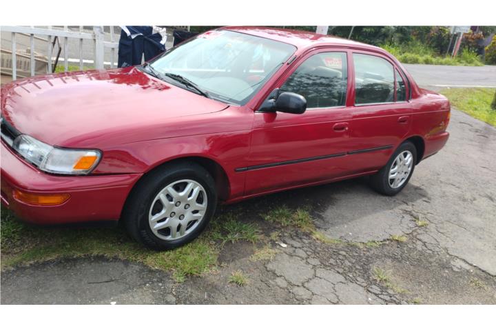 Corolla aut