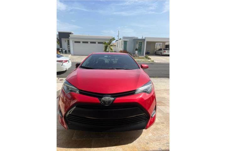 Corolla LE