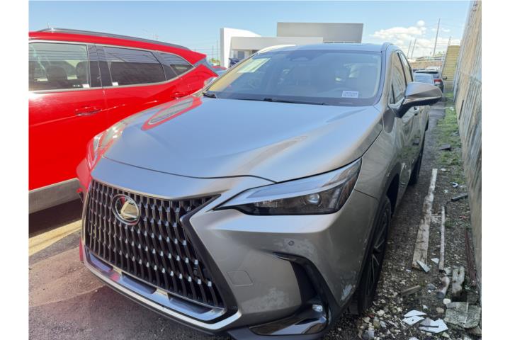 2025 Lexus NX