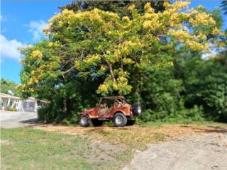 Jeep Puerto Rico Jeep cj7 1983