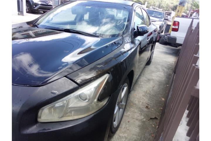 Nissan Maxxima 1100 2009
