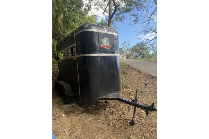 Carreton 2 Caballos