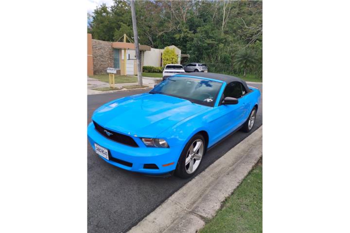 Ford mustang 2010