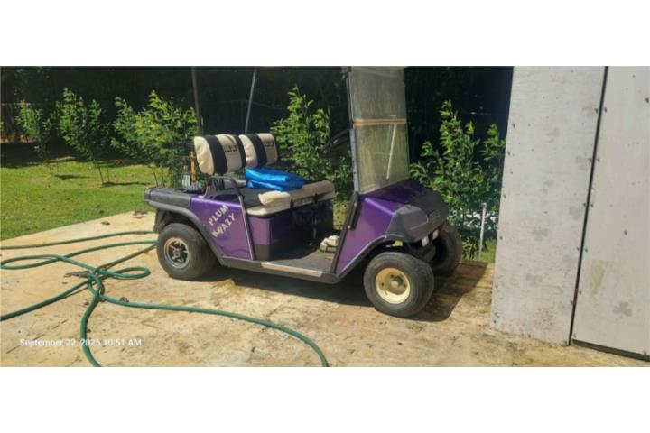 Carrito de Golf