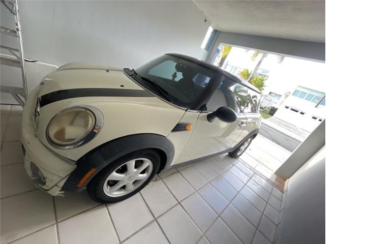 Mini 2010