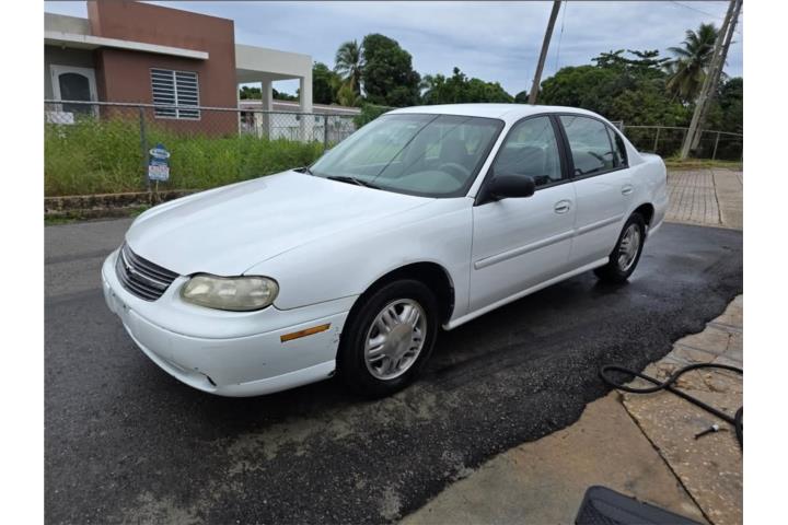 Malibu Chevrolet