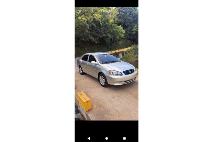 Toyota corolla