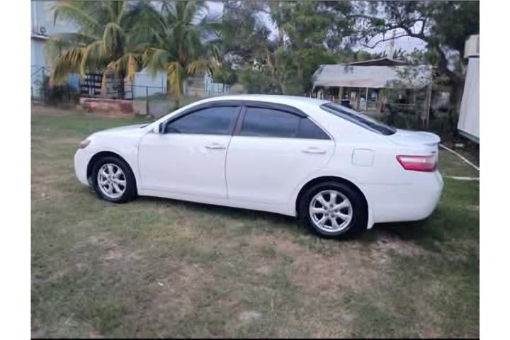 Camry 2009 LE 4cyl