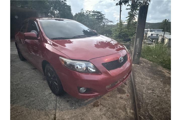 Corolla 09