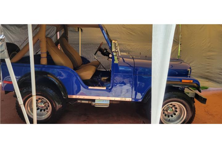Jeep 1978, Entero