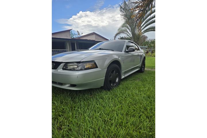 Mustang