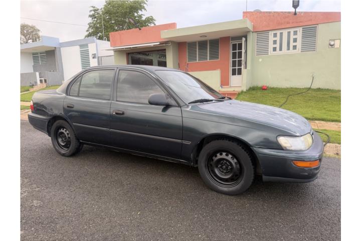 Toyota Corolla 1997 Full labels