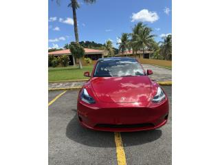Tesla, Modelo Y, El m�s Grande, Tesla Puerto Rico