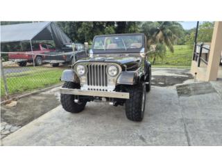 Jeep cj5 1979, Jeep Puerto Rico