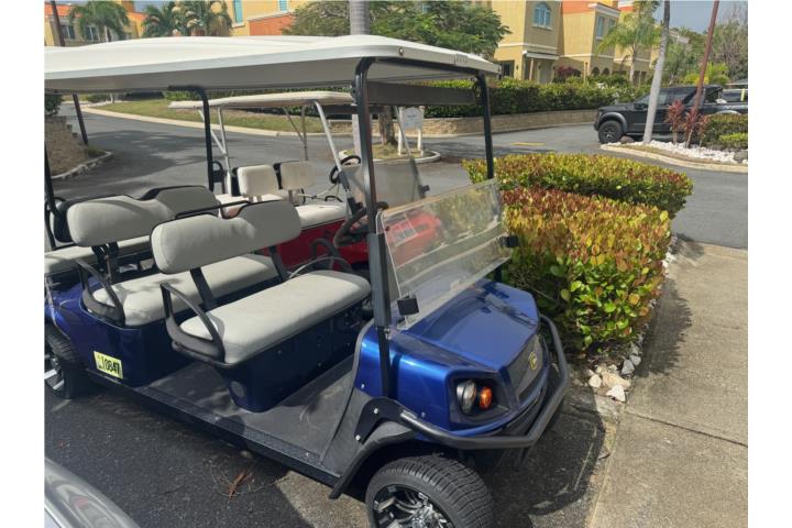 2015 Cushman Electrico 6 Pasajeros