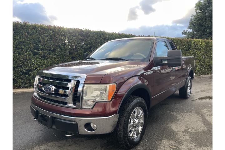 FORD F-150 4X4 2009