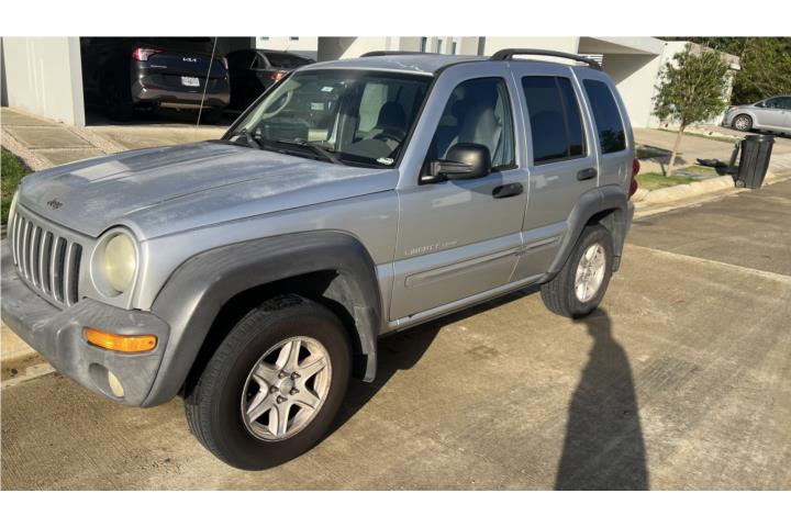 Jeep Liberty 2003 $800