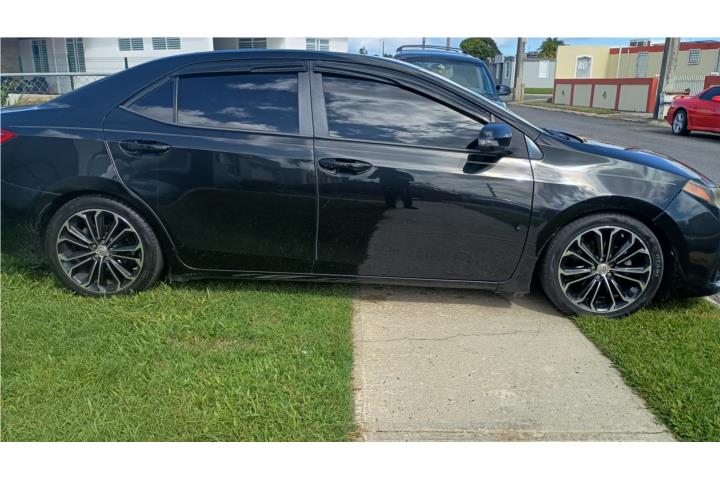 Corolla tipoS