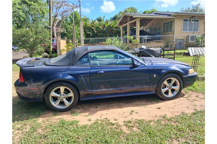 Ford mustan