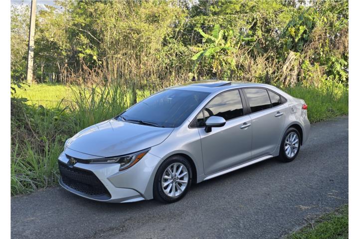 Corolla (Sunroof)