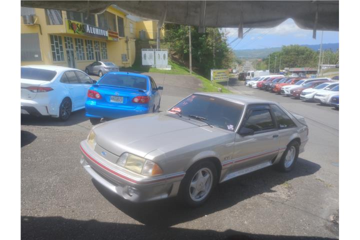 Mustang 91