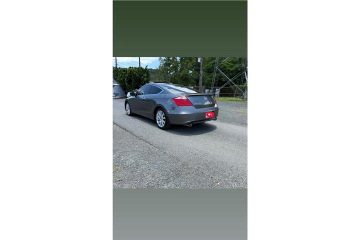 Honda Accord V6