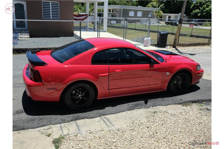 Mustang gt