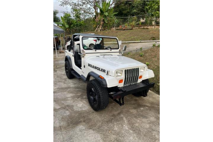 Jeepwragler1991