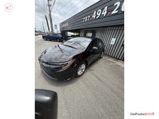 Toyota Corolla 2025, Toyota Puerto Rico