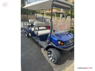 2015 Cushman Electrico 6 Pasajeros, Carritos de Golf Puerto Rico