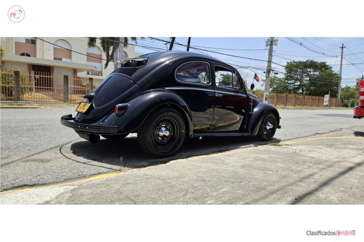 1955 VW Oval