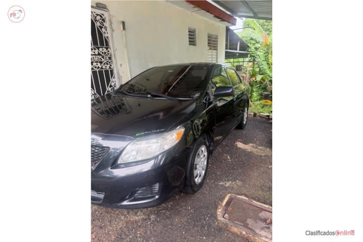 Toyota corolla 2010