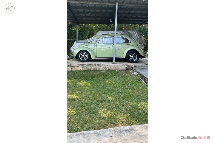 Volky 72