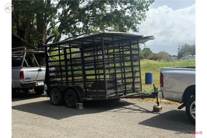 CARRETON DE CABALLOS