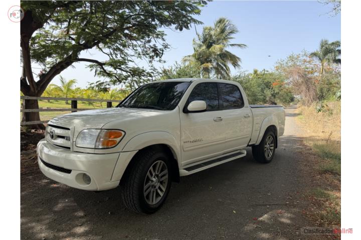 Tundra limited 2004