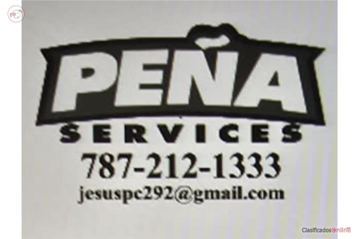 Servicios