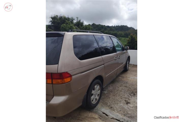 Guagua Honda Odyssey