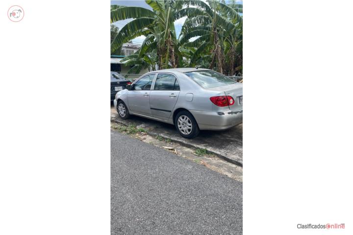 corolla