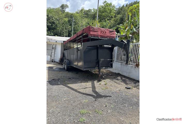 Tráiler de Caballo