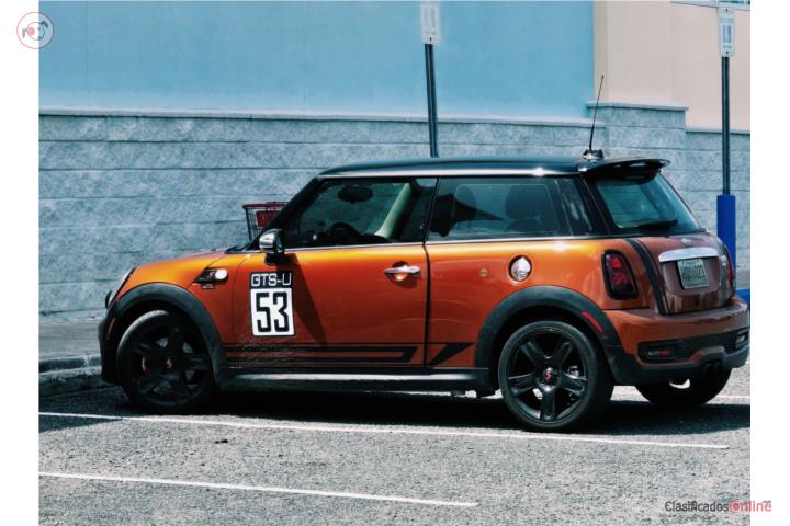 Mini 2010
