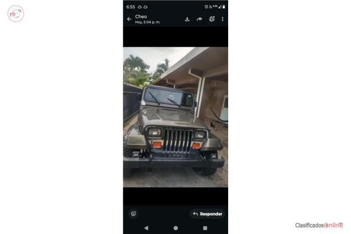 Jeep Jeep Wrangler 1989 Standard Millas 000 Lares