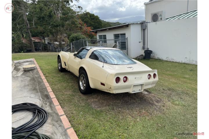 Corvette 1981