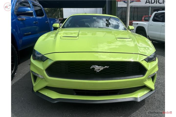Mustang 2020