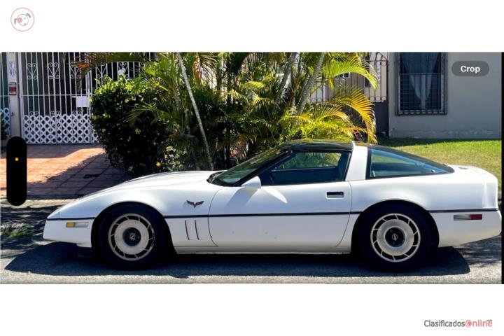 Corvette 1984 Z4